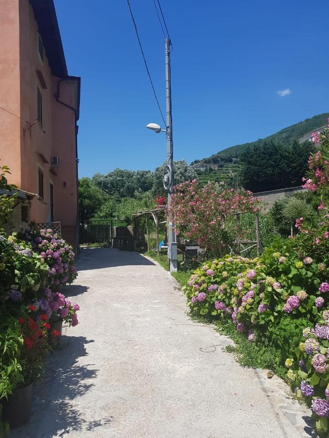 Casa Nonna Anna Villa Maiori Exterior photo